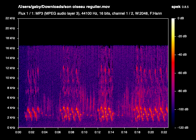 son%20oiseau%20regulier%20